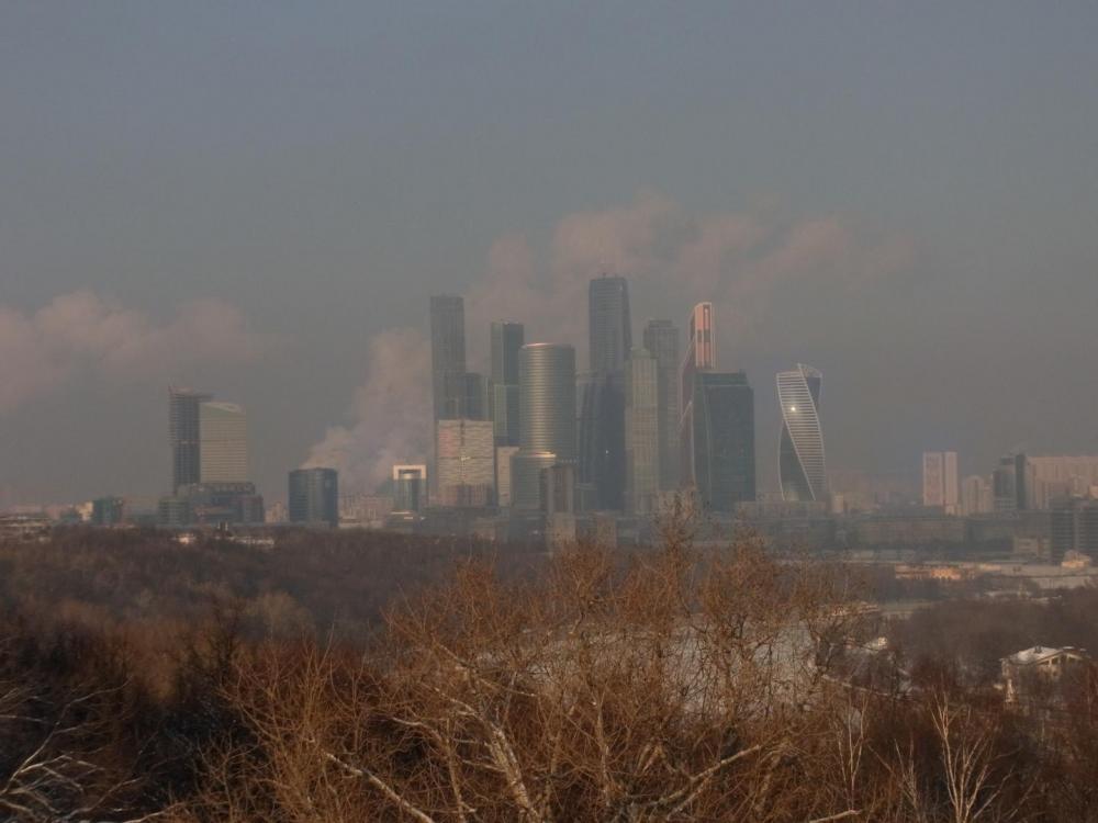 RIMG1355.thumb.JPG.28e0a32a6f58bd7a1d483